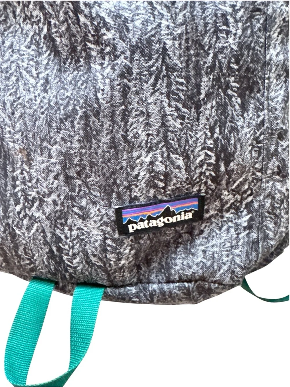 Patagonia Toromiro 22L Backpack in Forestland Black